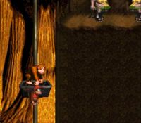 une photo d'Ã©cran de Donkey Kong Country sur Nintendo Super Nes